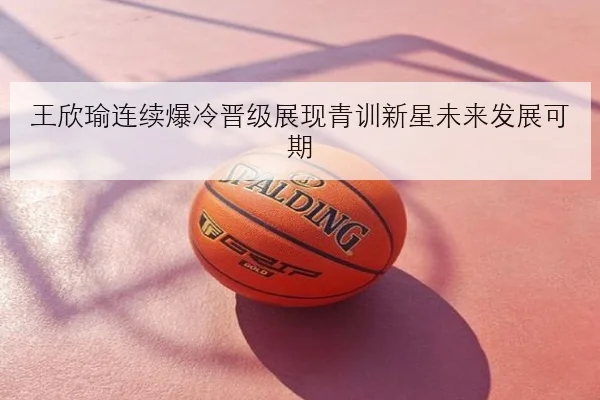 imp_8b43343f70194ada.jpg